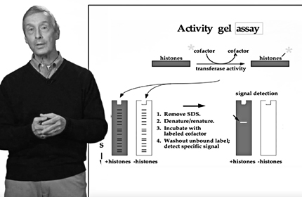 Epigenetics: Why Your DNA Isn’t Enough