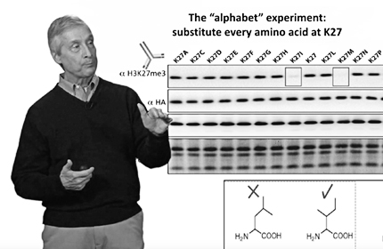 Epigenetics in Development and Disease