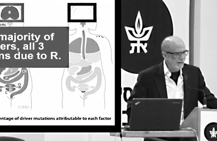 Cancer Research: from Gene Identification to Personalized Medicine