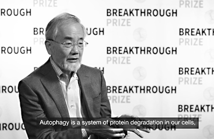 Yoshinori Ohsumi: 2017 Breakthrough Prize Laureate Interviews